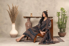 Printed - Dhanak - 3pc - D734