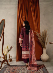 Printed - Dhanak - 3pc - D728