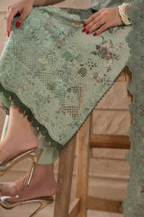 D722 - Collection Embroidered