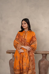 Printed - Dhanak - 3pc - D732