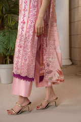 D714 - Collection Embroidered