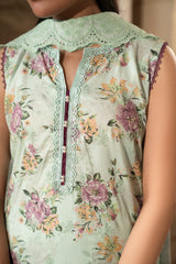 D735- Collection Embroidered