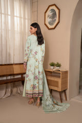 D729 - Collection Embroidered