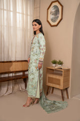 D729 - Collection Embroidered