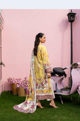 Lemon Souffle - D919