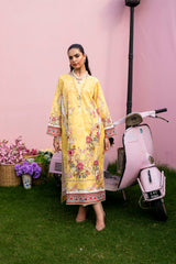 Lemon Souffle - D919