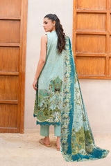 Canvas - D1224