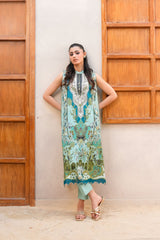 Canvas - D1224