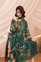 Exclusive - Forest Green - D005