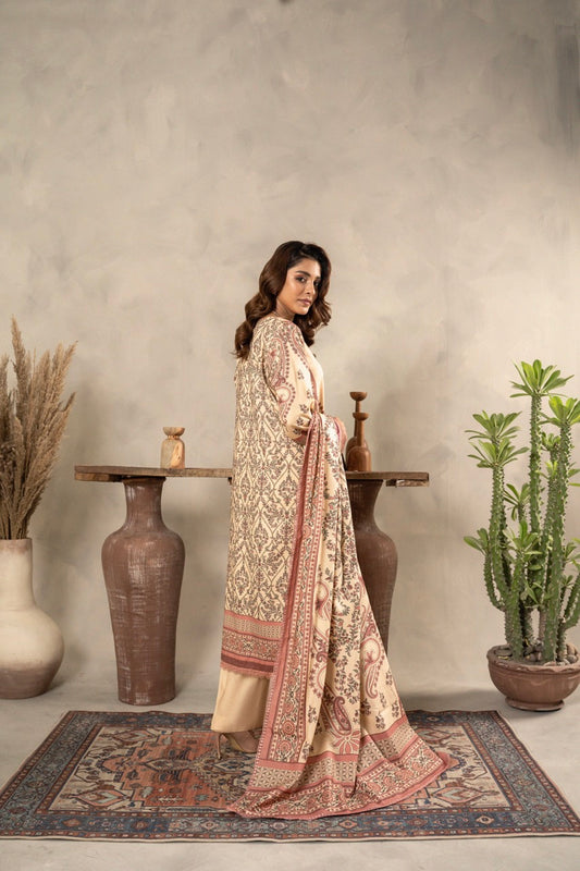 Printed - Dhanak - 3pc - D729