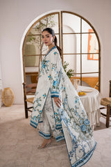 Printed - Lawn - 3pc - D154