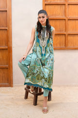 Canvas - D1224